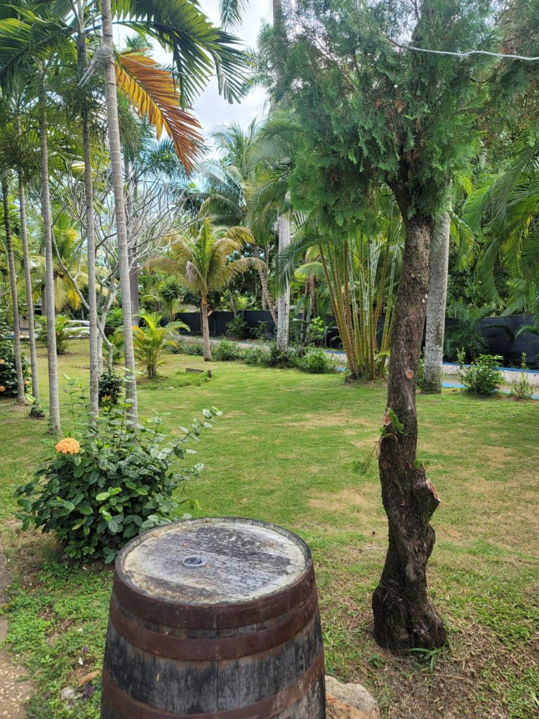 rum runners resort-negril jamaica